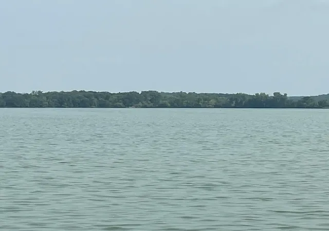 Photo 3 of Land for sale at Tbd 767th Avenue, Albert Lea, MN 56007 | MLS# 7113655 | Listing updated on 2026-09-02