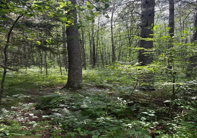 2nd image of 560th Street, Palisade, MN 56469 | MLS# 7113837