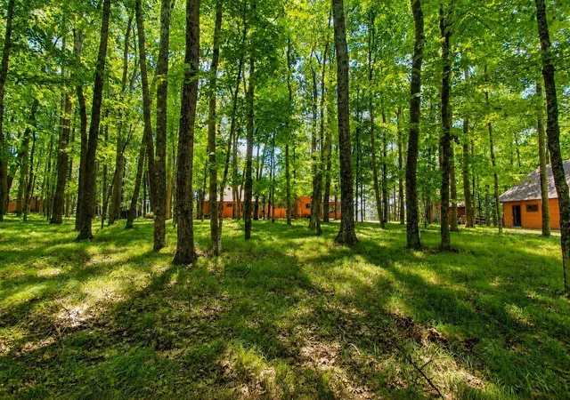 55th image of 12635 N Neumaier Rd, Hayward, WI 54843 | MLS# 7113972