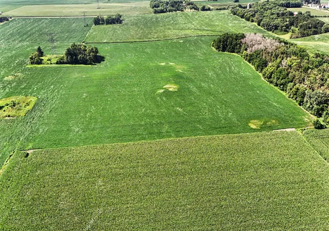 4th image of Tbd 50Th St S, Afton, MN 55001 | MLS# 7114075