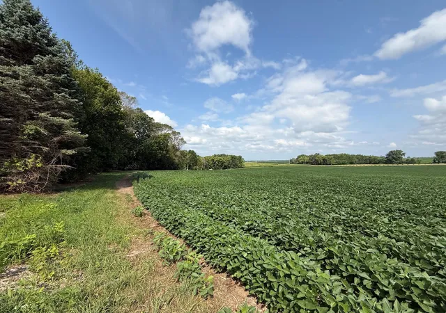 2nd image of Lot A Lehigh Road, Cottage Grove, MN 55016 | MLS# 7114156