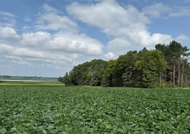 1st image of Lot B Lehigh Road, Cottage Grove, MN 55016 | MLS# 7114218