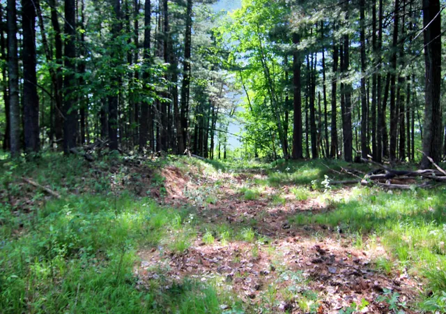 3rd image of 4294 Nod A Way Dr, Nisswa, MN 56468 | MLS# 7114255