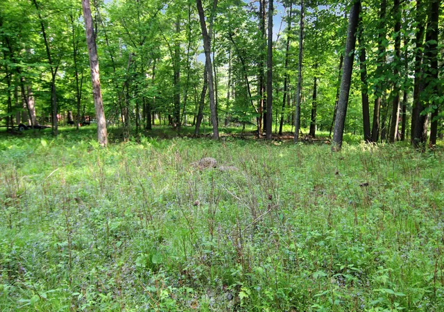 4th image of 4294 Nod A Way Dr, Nisswa, MN 56468 | MLS# 7114255