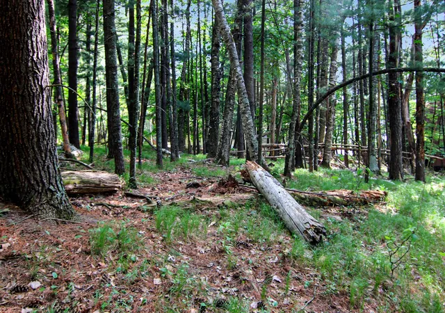 5th image of 4294 Nod A Way Dr, Nisswa, MN 56468 | MLS# 7114255