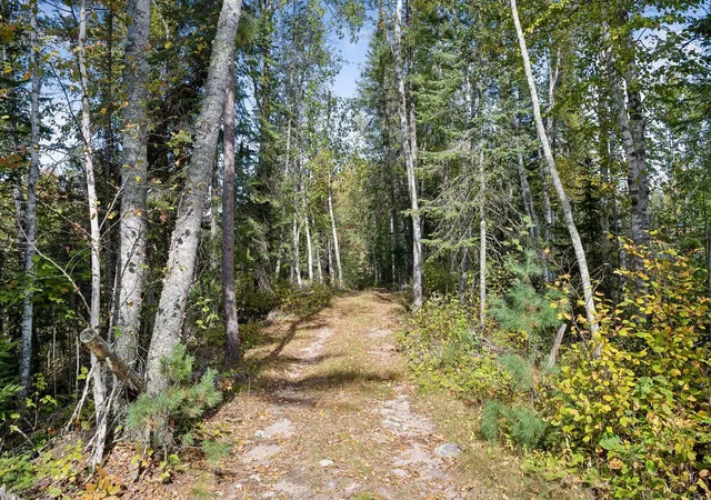 Photo 2 of Land for sale at 46xxx Smith Lake Rd, Marcell, MN 56657 | MLS# 7114292 | Listing updated on 2026-07-23