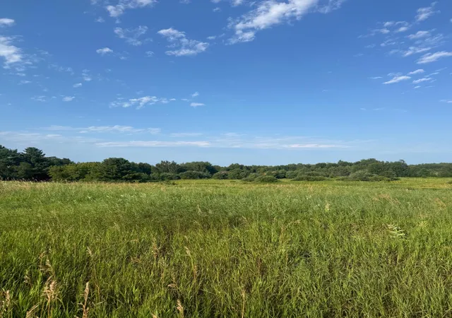 2nd image of Tbd 256th Lane, Aitkin, MN 56431 | MLS# 7114295