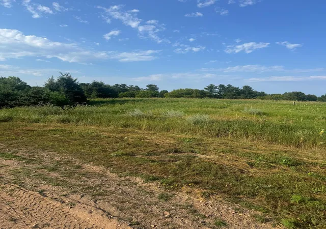 Photo 3 of Land for sale at Tbd 256th Lane, Aitkin, MN 56431 | MLS# 7114295 | Listing updated on 2026-07-27