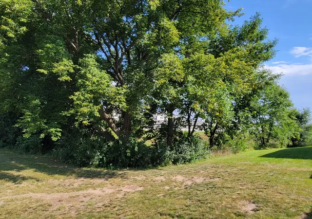29th image of 316 Jefferson Ln, Saint Joseph, MN 56374 | MLS# 7114336