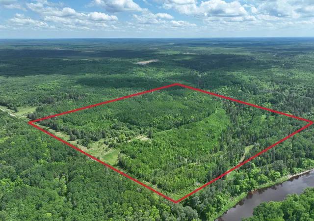Photo 3 of Land for sale at Tbd Town 43 Rd E, Littlefork, MN 56653 | MLS# 7114981 | Listing updated on 2026-08-25