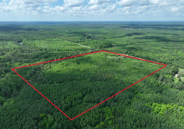 Photo 3 of Land for sale at Tbd Town 43 Rd E, Littlefork, MN 56653 | MLS# 7114981 | Listing updated on 2026-08-25