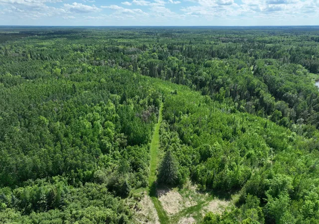 Photo 4 of Land for sale at Tbd Town 43 Rd E, Littlefork, MN 56653 | MLS# 7114981 | Listing updated on 2026-08-25