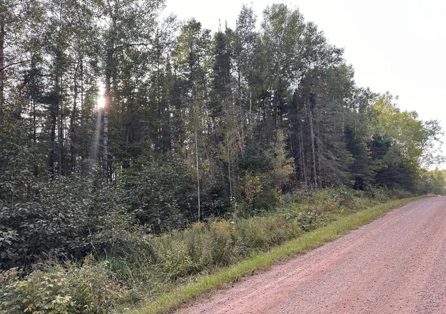 16th image of Tbd Old Vermilion Trl, Duluth, MN 55803 | MLS# 7115036