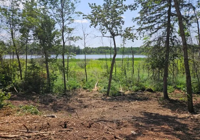 Photo 4 of Land for sale at Tbd 330th Street, Shevlin, MN 56676 | MLS# 7115091 | Listing updated on 2026-08-25