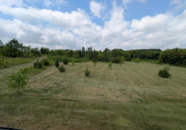 3rd image of Xxxx 619Th Ave, Ellsworth, WI 54011 | MLS# 7115099