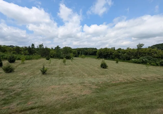 5th image of Xxxx 619Th Ave, Ellsworth, WI 54011 | MLS# 7115099