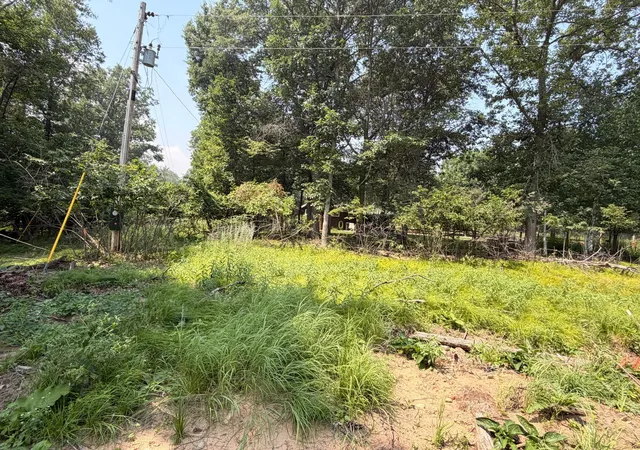 12th image of Tbd Bayview Pl, Pequot Lakes, MN 56472 | MLS# 7115211