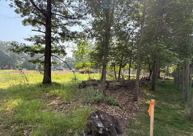 5th image of Tbd Bayview Pl, Pequot Lakes, MN 56472 | MLS# 7115211