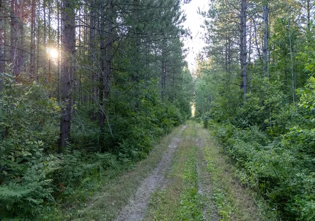 Photo 1 of Sale Pending at Nesw Forest Rd 3845 Ne, Pennington, MN 56663 | MLS# 7115231 | Listing updated on 2026-09-23