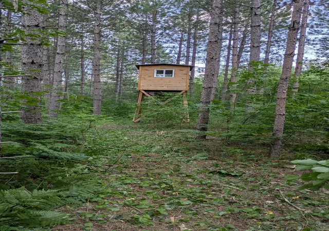 Photo 2 of Sale Pending at Nesw Forest Rd 3845 Ne, Pennington, MN 56663 | MLS# 7115231 | Listing updated on 2026-09-23