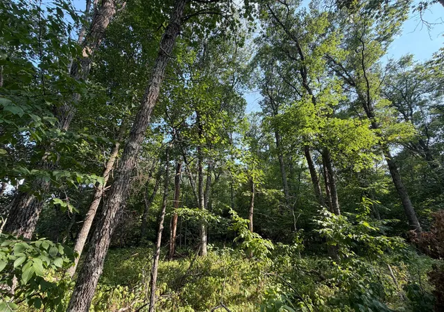 2nd image of Tbd Pawnee Cir, Pequot Lakes, MN 56472 | MLS# 7115519