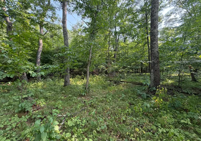 3rd image of Tbd Pawnee Cir, Pequot Lakes, MN 56472 | MLS# 7115519
