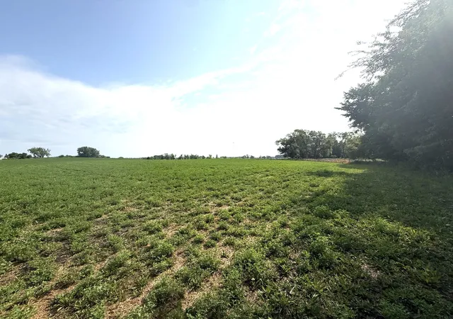 Photo 1 of Land for sale at Tbd County Rd 7, Howard Lake, MN 55349 | MLS# 7115593 | Listing updated on 2026-07-28