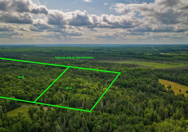 Photo 3 of Land for sale at Tbd 219th Avenue, Bemidji, MN 56601 | MLS# 7115730 | Listing updated on 2026-09-03