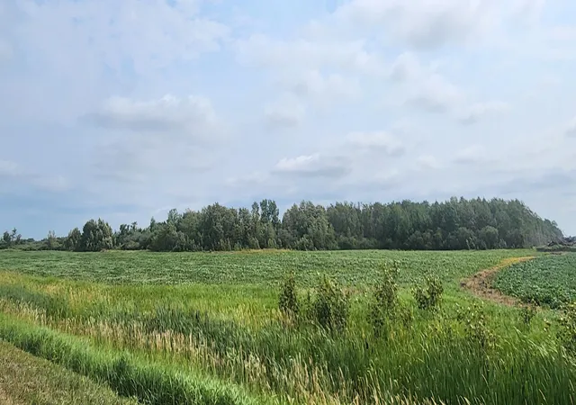 Photo 1 of Land for sale at Tbd 330th Avenue Ne, Goodridge, MN 56725 | MLS# 7115848 | Listing updated on 2026-08-08