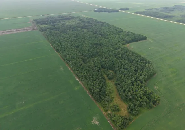 Photo 3 of Land for sale at Tbd 330th Avenue Ne, Goodridge, MN 56725 | MLS# 7115848 | Listing updated on 2026-08-08