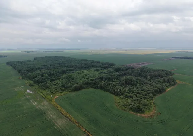 Photo 3 of Land for sale at Tbd 330th Avenue NE, Goodridge, MN 56725 | MLS# 7115848 | Listing updated on 2026-08-08