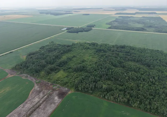 Photo 4 of Land for sale at Tbd 330th Avenue NE, Goodridge, MN 56725 | MLS# 7115848 | Listing updated on 2026-08-08