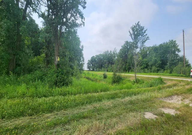Photo 7 of Land for sale at Tbd 330th Avenue Ne, Goodridge, MN 56725 | MLS# 7115848 | Listing updated on 2026-08-08