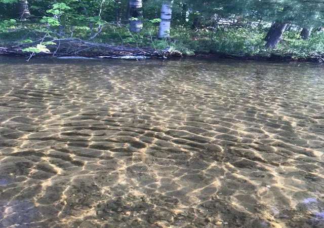 Photo 3 of Land for sale at Tbd Excelsior Is, Cross Lake, MN 56442 | MLS# 7115888 | Listing updated on 2026-08-15