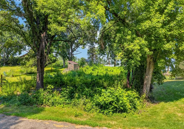 31st image of 65164 365th St, Watkins, MN 55389 | MLS# 7116009