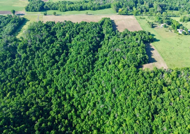 2nd image of Tbd 160th Ave, Maiden Rock, WI 54750 | MLS# 7116019