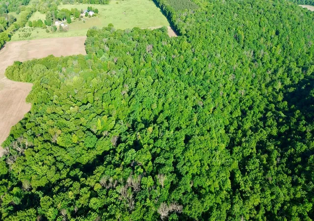 3rd image of Tbd 160Th Ave, Maiden Rock, WI 54750 | MLS# 7116019