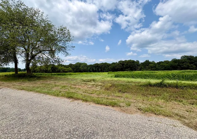 45th image of Tbd 160th Ave, Maiden Rock, WI 54750 | MLS# 7116019