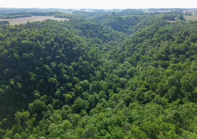 4th image of Tbd 160Th Ave, Maiden Rock, WI 54750 | MLS# 7116019