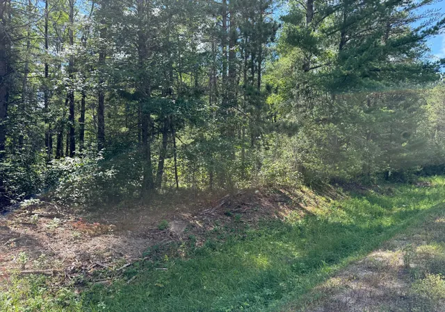 Photo 2 of Land for sale at 28393 County 93, Laporte, MN 56461 | MLS# 7116050 | Listing updated on 2026-07-25