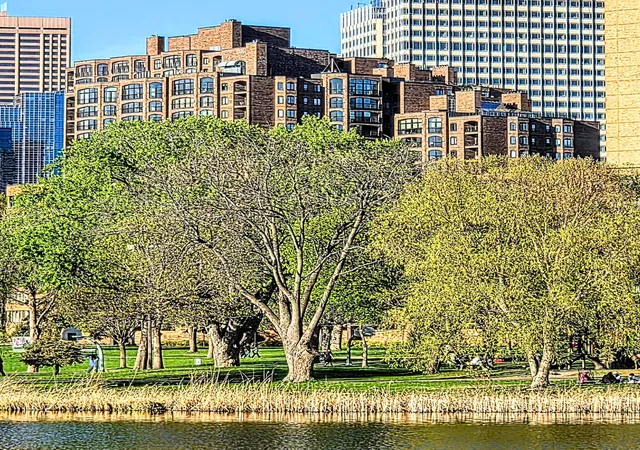 Listing Photo 4 - Condo for sale in building located at 1235 Yale Pl, Minneapolis, MN 55403 - Unit #1701