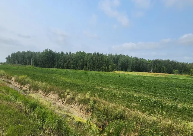 Photo 1 of Land for sale at Tbd 340th Avenue Ne, Goodridge, MN 56725 | MLS# 7116074 | Listing updated on 2026-08-08