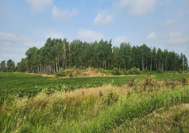 Photo 2 of Land for sale at Tbd 340th Avenue Ne, Goodridge, MN 56725 | MLS# 7116074 | Listing updated on 2026-08-08
