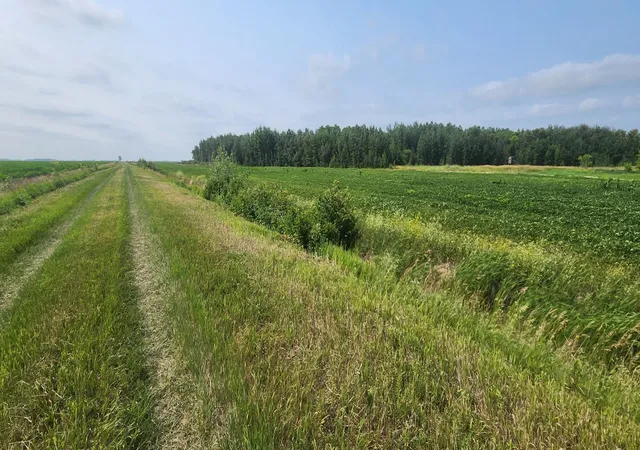 Photo 3 of Land for sale at Tbd 340th Avenue NE, Goodridge, MN 56725 | MLS# 7116074 | Listing updated on 2026-08-08