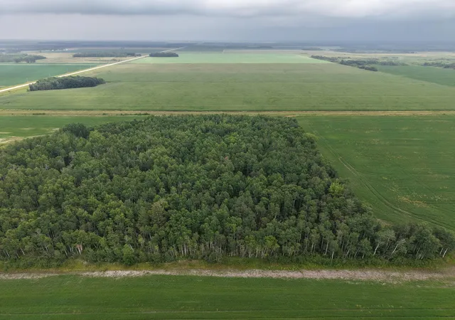 Photo 4 of Land for sale at Tbd 340th Avenue NE, Goodridge, MN 56725 | MLS# 7116074 | Listing updated on 2026-08-08