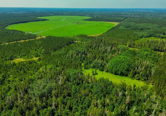 Photo 4 of Sale Pending at Tract 3 - Tbd 259th Ave, Menahga, MN 56464 | MLS# 7116326 | Listing updated on 2026-08-27