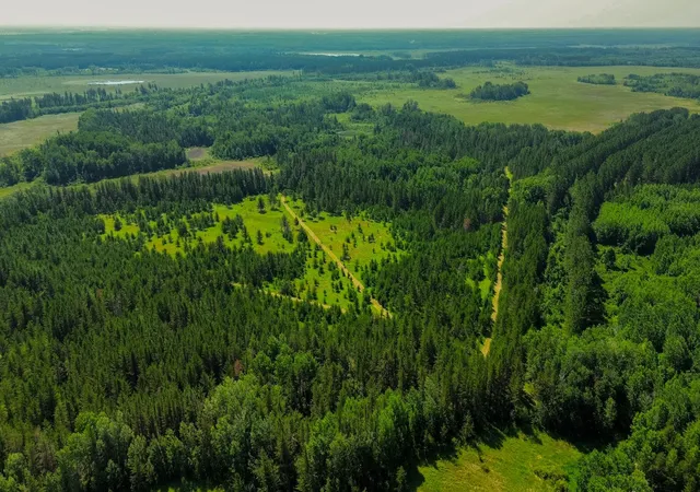 Photo 1 of Land for sale at Tract 1   Tbd Hubbard Line Rd, Menahga, MN 56464 | MLS# 7116329 | Listing updated on 2026-07-28