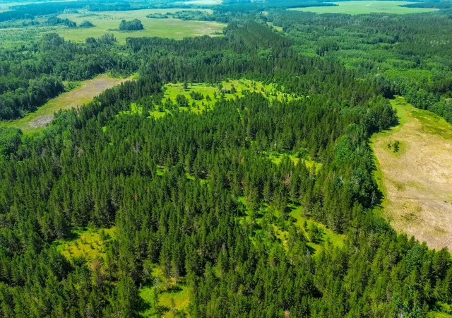 Photo 2 of Land for sale at Tract 1   Tbd Hubbard Line Rd, Menahga, MN 56464 | MLS# 7116329 | Listing updated on 2026-07-28
