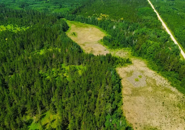 Photo 3 of Land for sale at Tract 1   Tbd Hubbard Line Rd, Menahga, MN 56464 | MLS# 7116329 | Listing updated on 2026-07-28