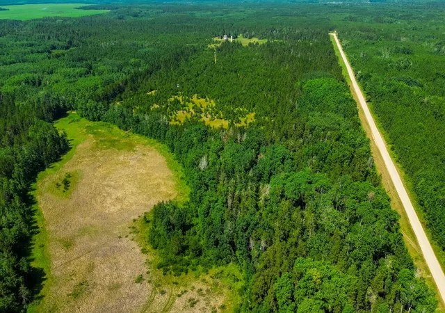 Photo 3 of Land for sale at Tract 1 - Tbd Hubbard Line Rd, Menahga, MN 56464 | MLS# 7116329 | Listing updated on 2026-07-28